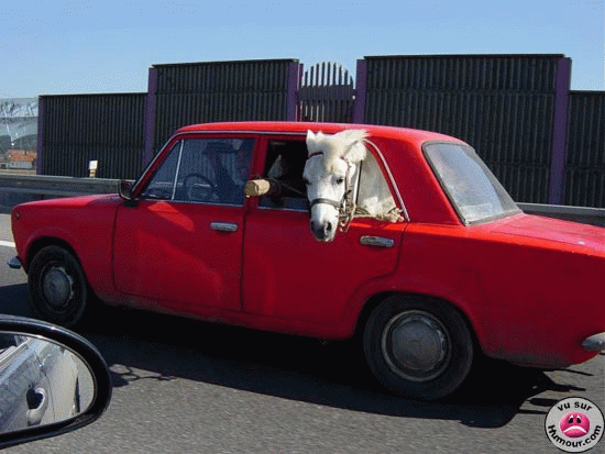 transporteur tunisien
